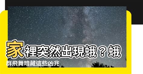 家裡突然出現蛾|【防治項目 